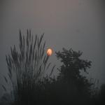 Vraj-Yatra-2014- (1538)